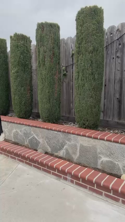 Black Lace Summer Dress